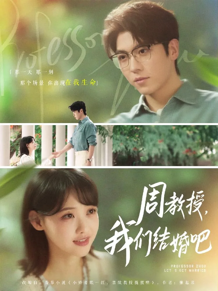 周教授我们结婚吧 海报