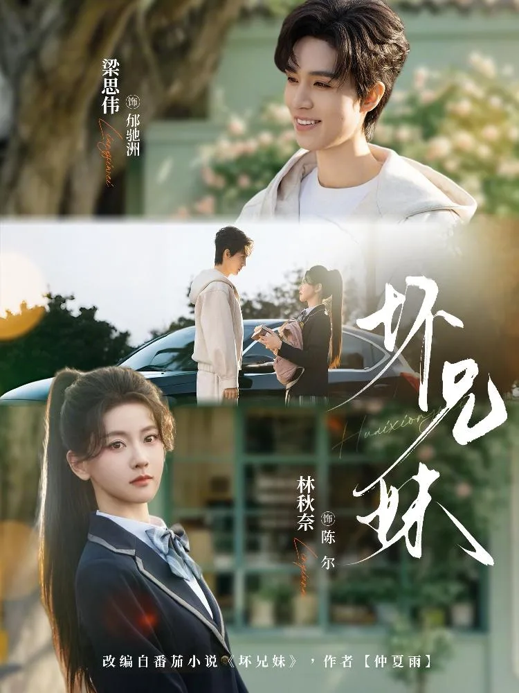 坏兄妹 海报